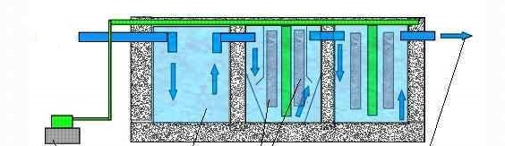 Рис. 3 Биологическая очистка