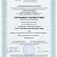 ISO 9001_2015 ООО Вагнер-Екатеринбург_1.jpg